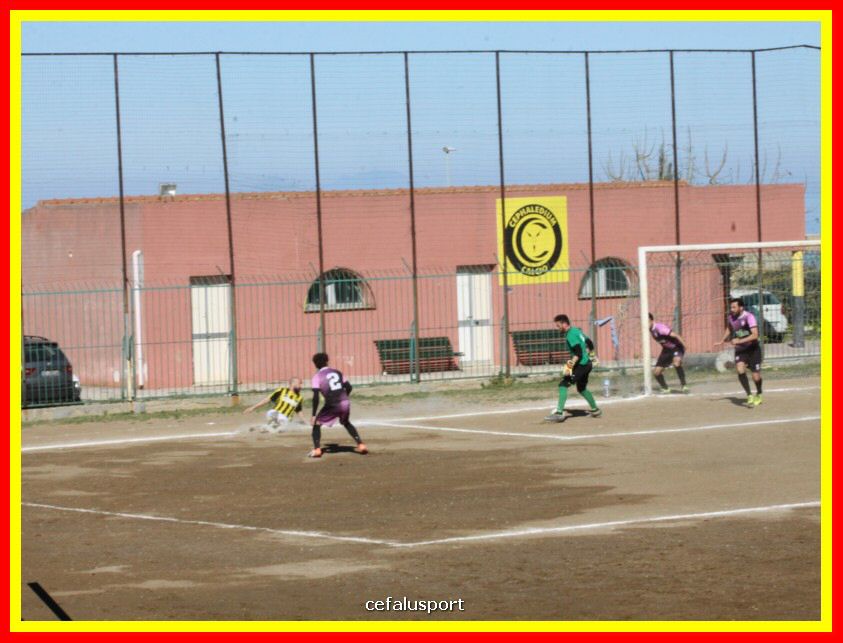 190310 Cephal_Torrenov 047_tn.jpg